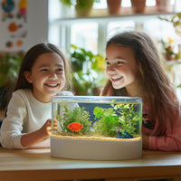 9b499b35deaaccb427b5c78870a6fc0d