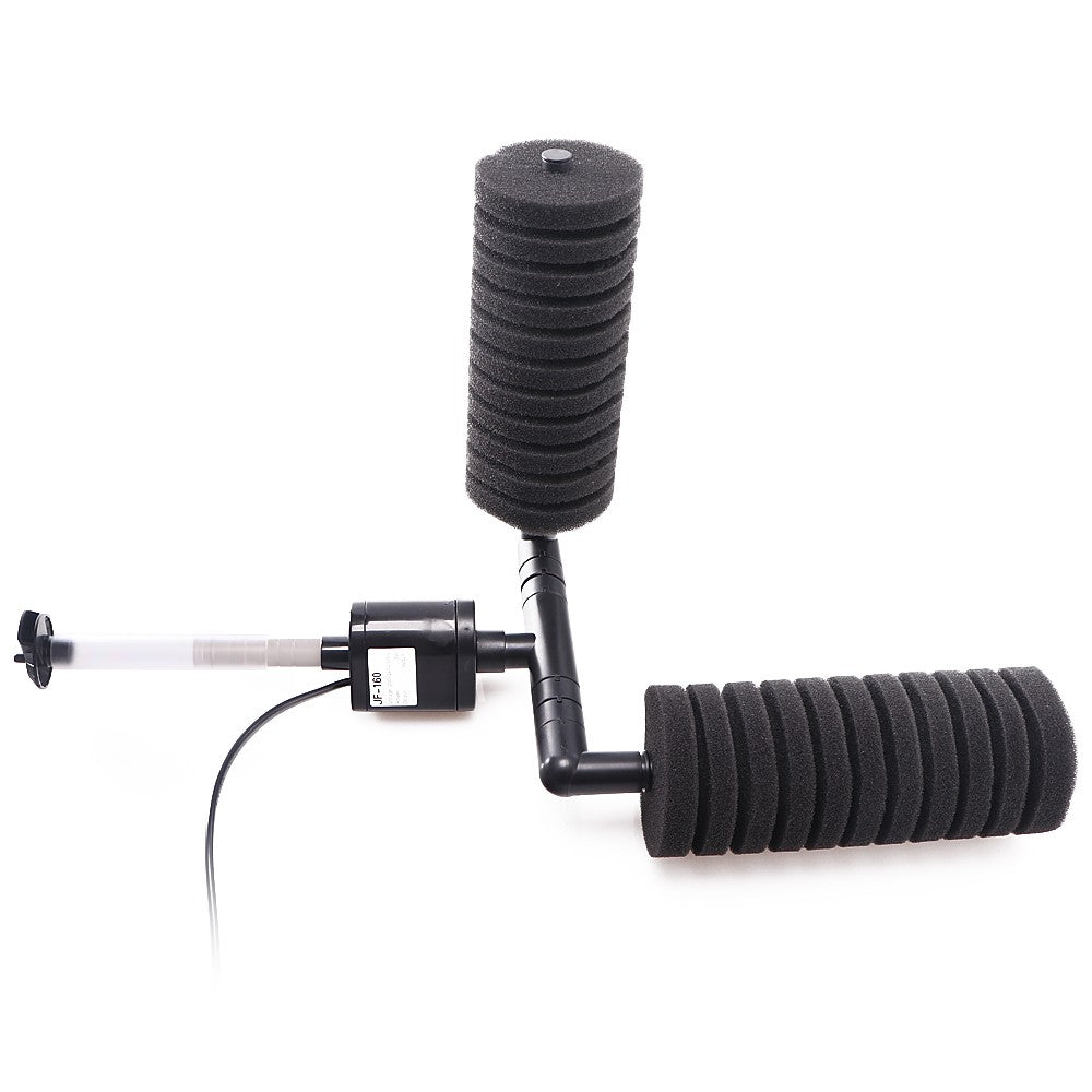 afe762b5024f278117816c5b5b46d82f