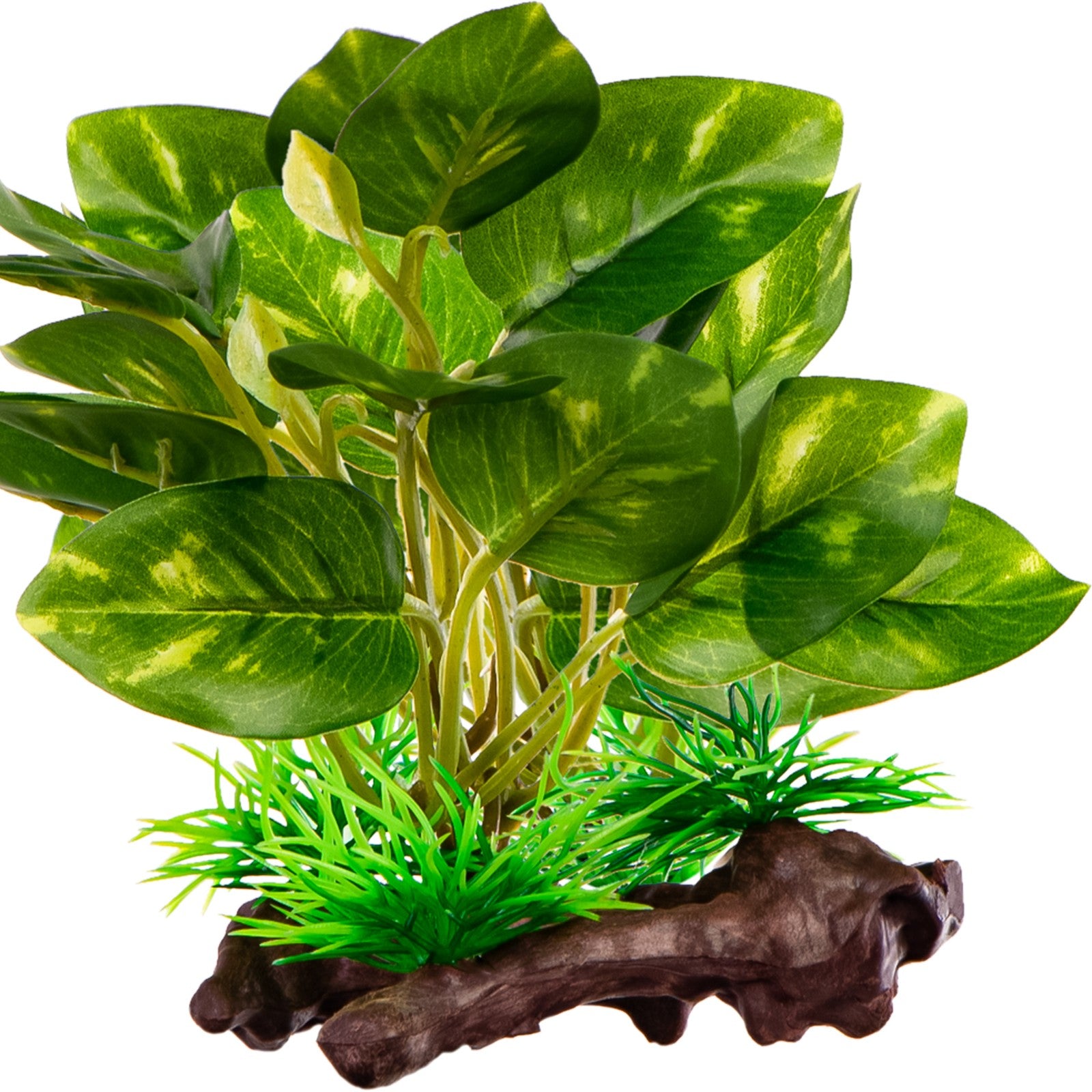 d5496f41b70456426376804a6e960e51