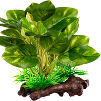 d5496f41b70456426376804a6e960e51