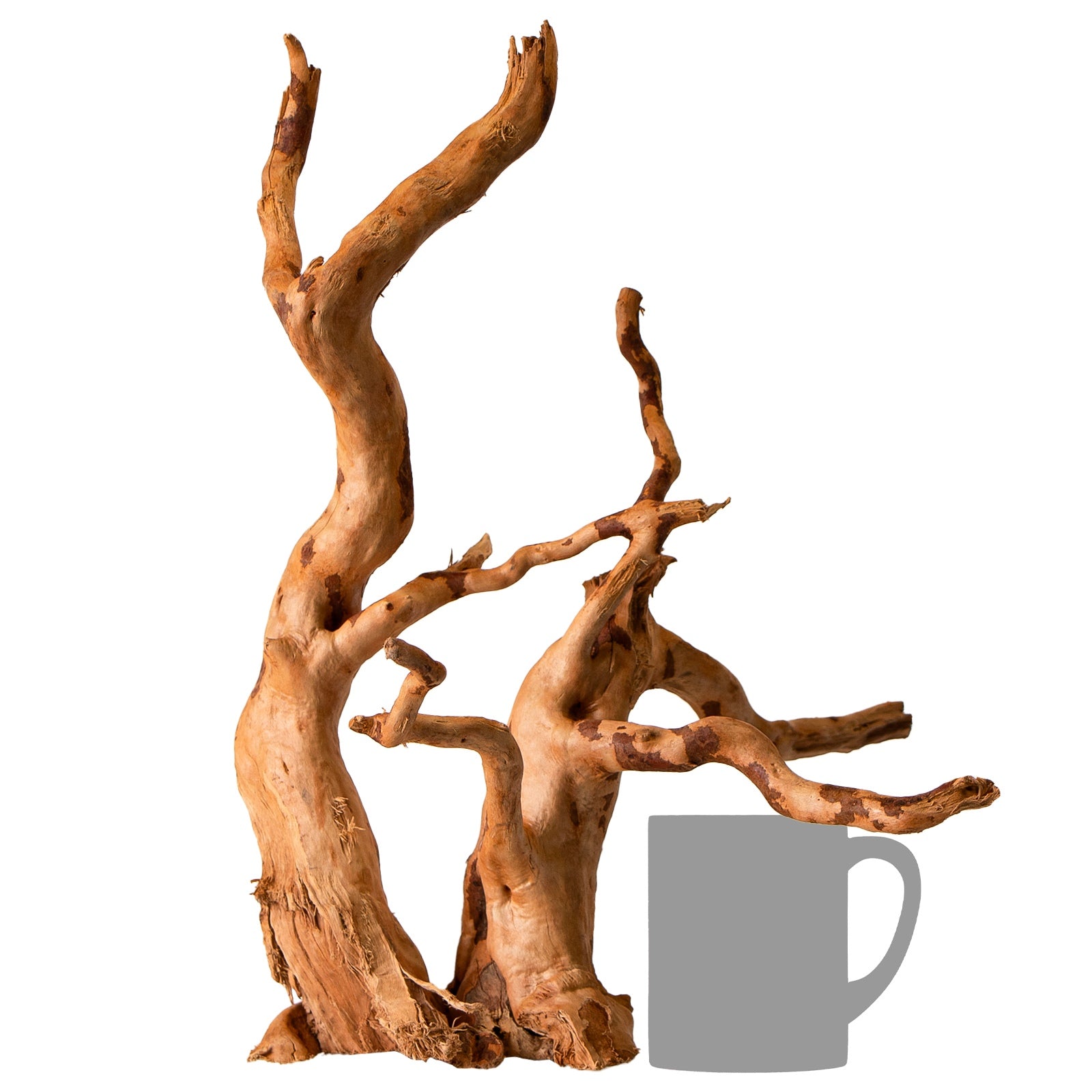 ef318020facb9a75cfbaea19137491fb