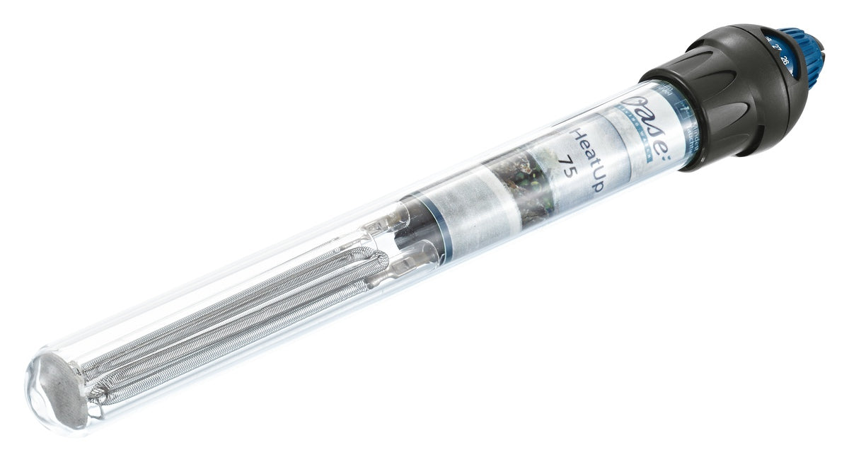 f195e551b5278dd413811d15006ef54a