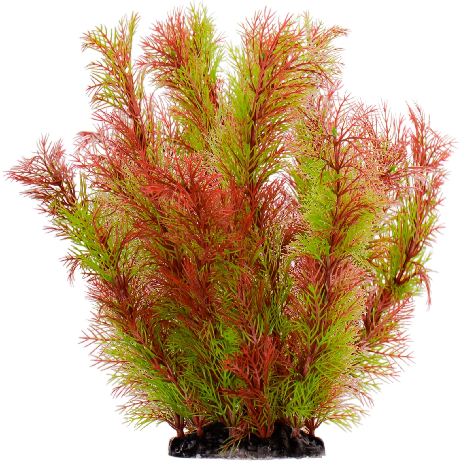 7373d12703835c8d050ab4408769f572