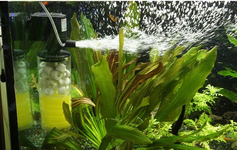 ff38fbc1aa3dd1cae90b98ac4acf5d97