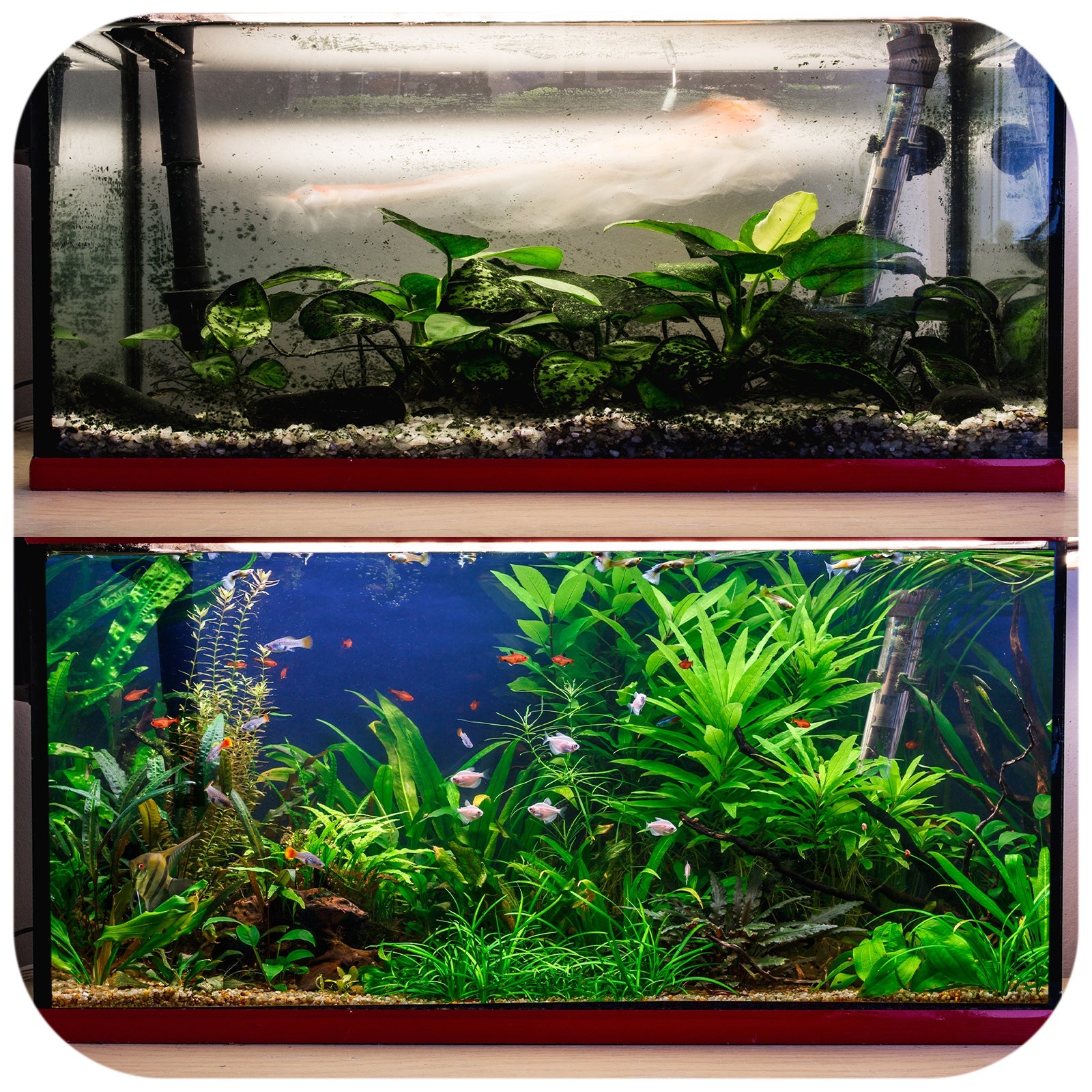 a9fa83d83526d00eb37594a4c8658e92