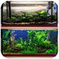 a9fa83d83526d00eb37594a4c8658e92