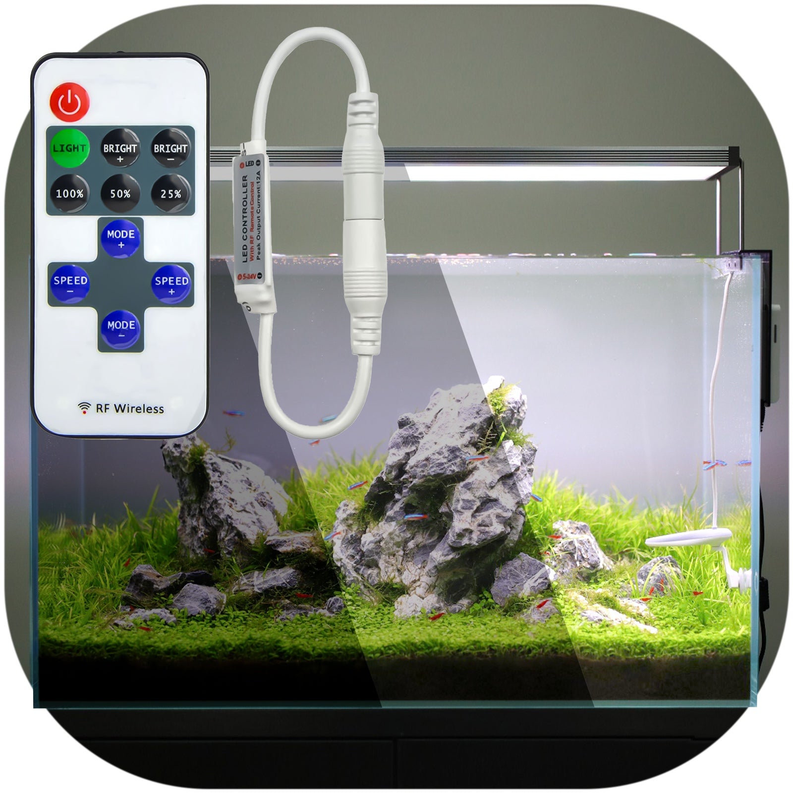 51f39223ee1637e0a8ca64b89e8f34cf