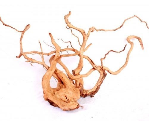 1b730222b9b5dd7e596c5d3772dacc8e