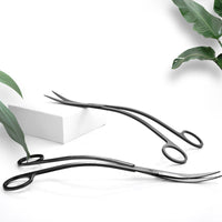 e91e5859f4554b63cd50a51b97674fcf