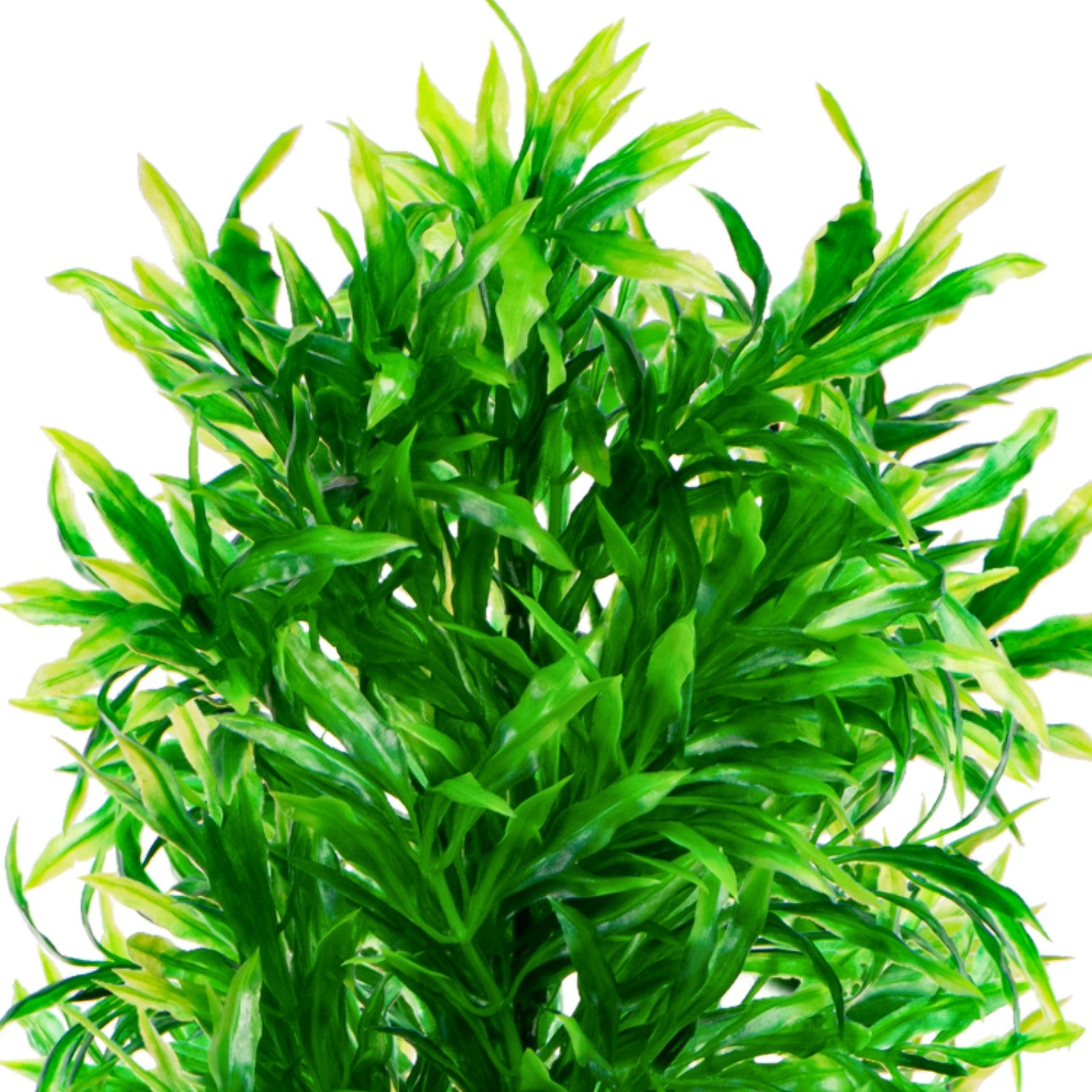 2179c957e7ddab0e4a072700441c4399