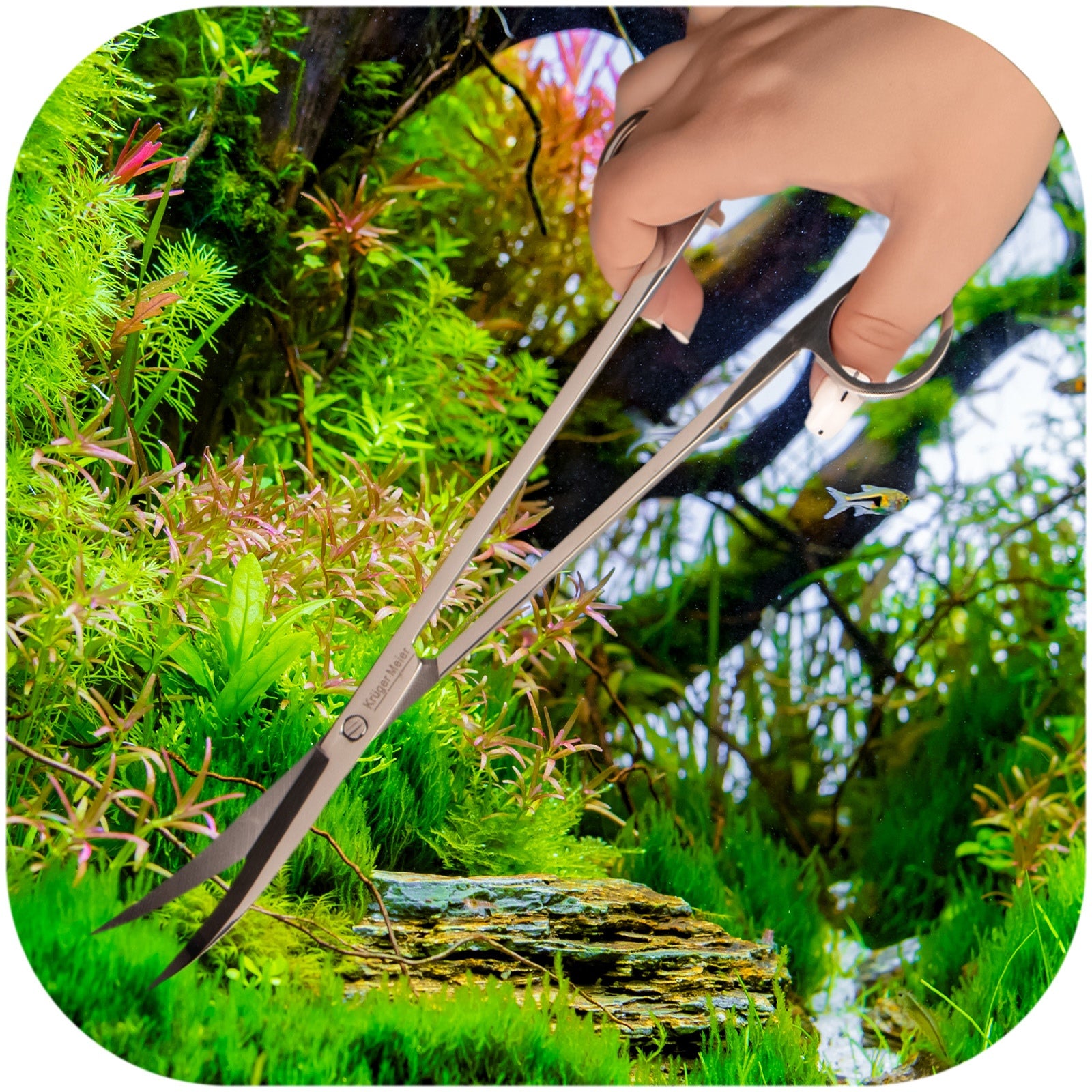 910604af6739fb3b67e3e940b737e2a1