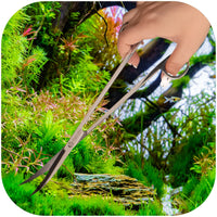 910604af6739fb3b67e3e940b737e2a1