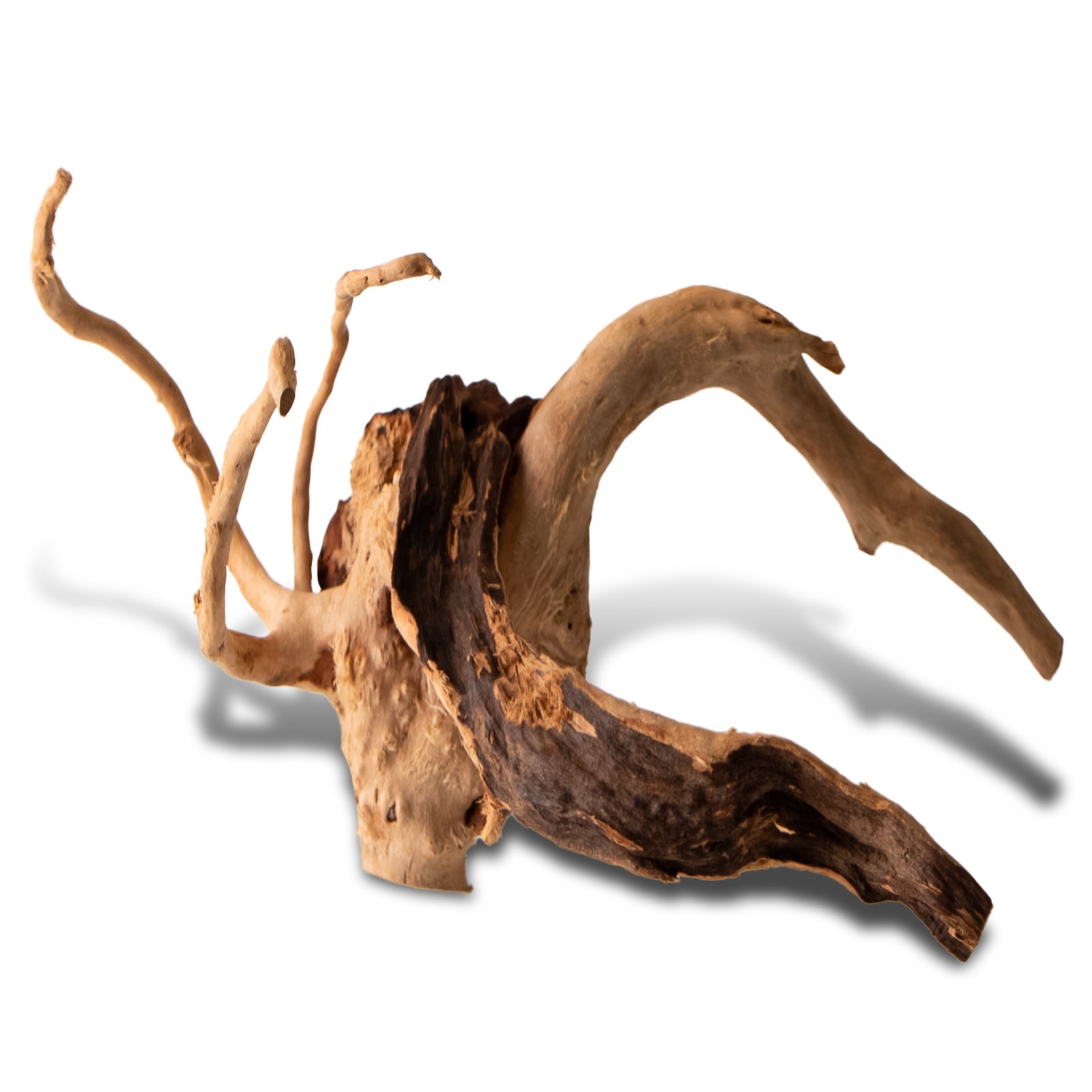 d929100bc5df4a2f1995e3b6d1b66d87