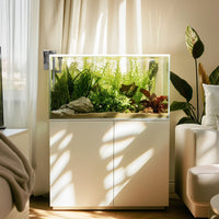 2477ab919a1a1c834c15a8bc5e3fc8dd