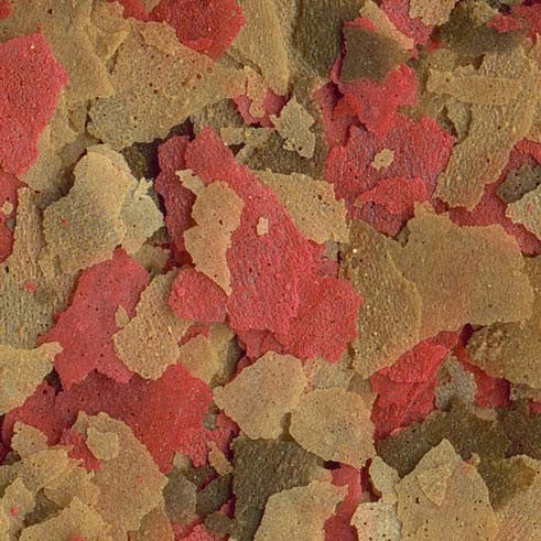 7b7a534e29168ffb97bf370f30f23a8a