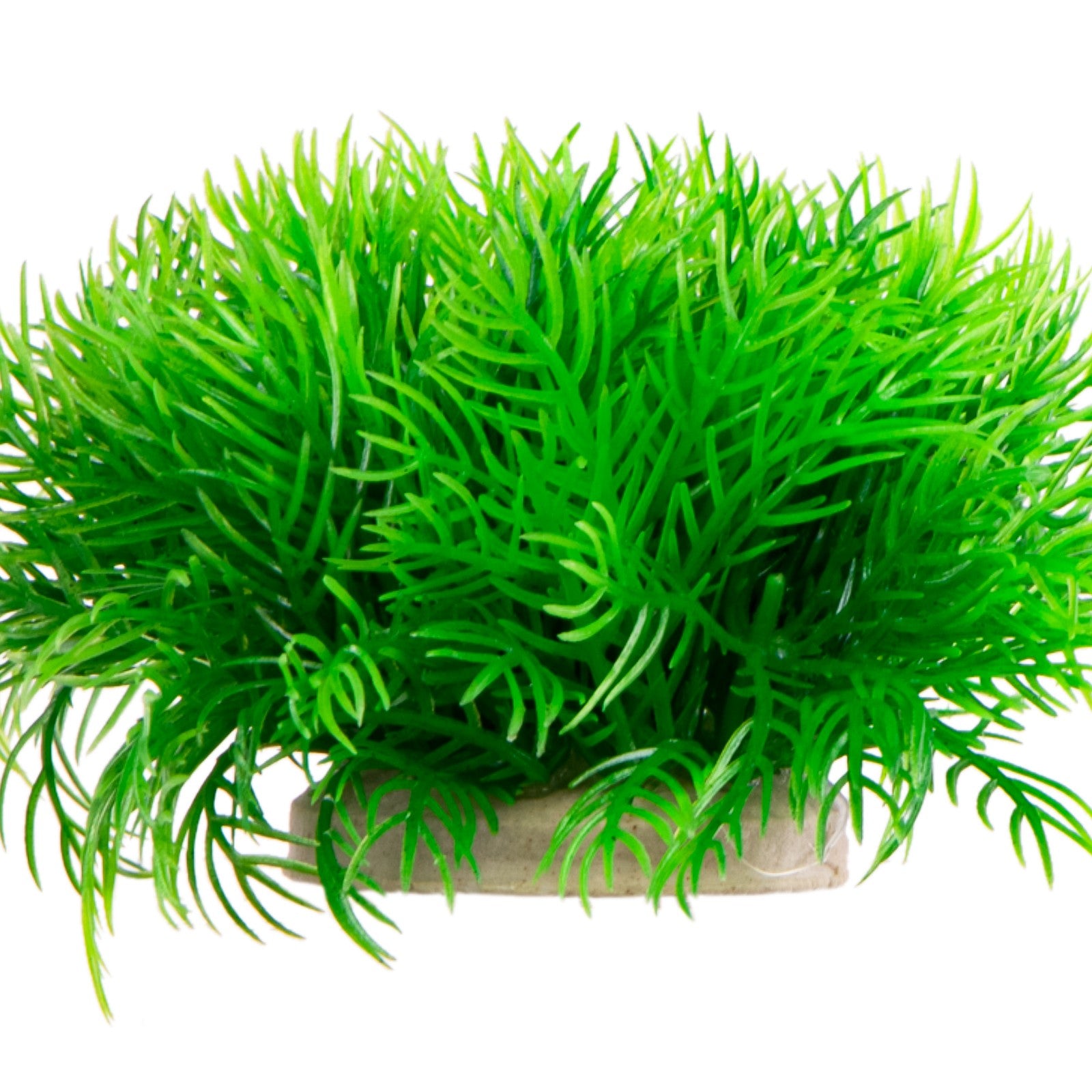 53d23b8c189679c74f66644a5bec94a8