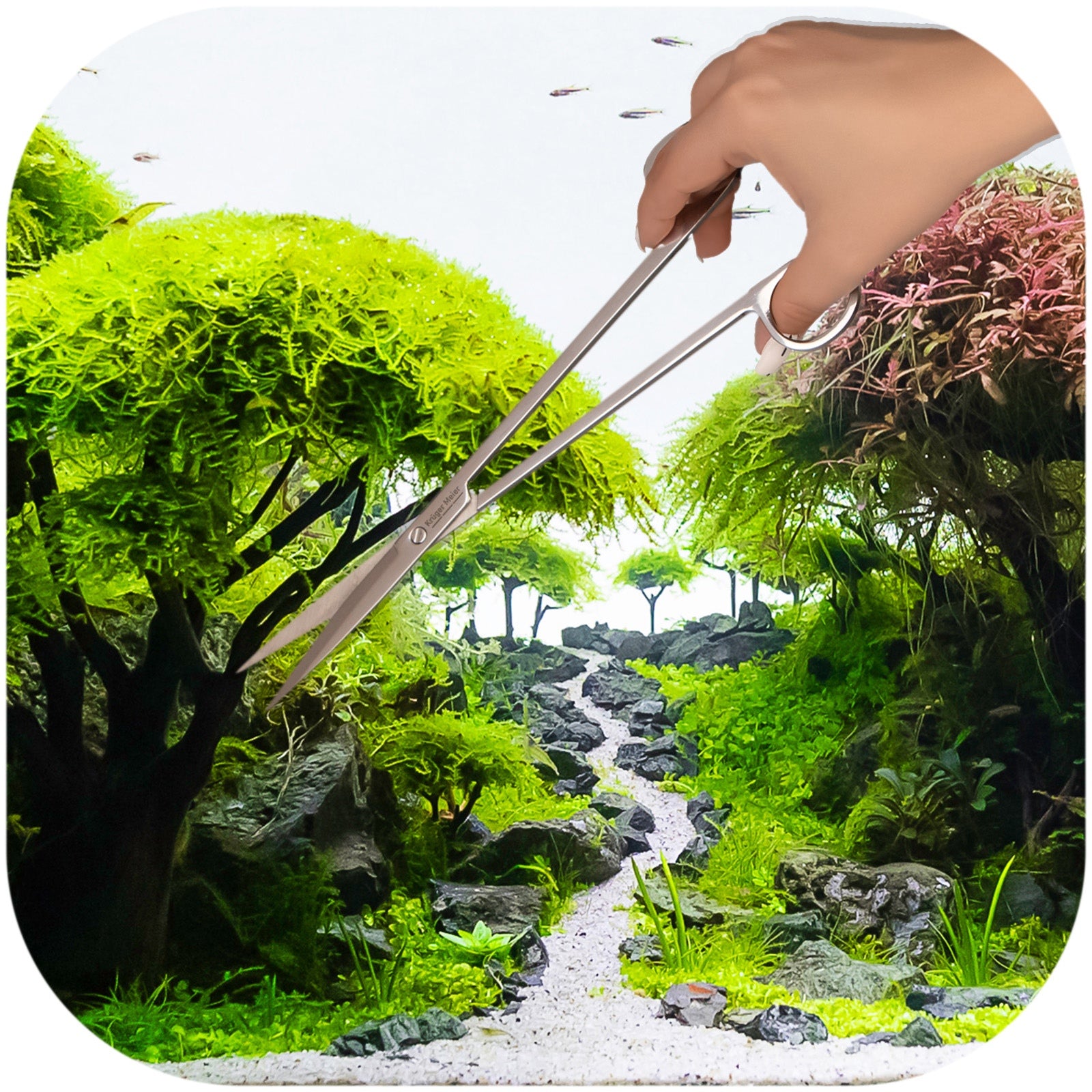 bec2c4b040f584f13dec65f806a81287