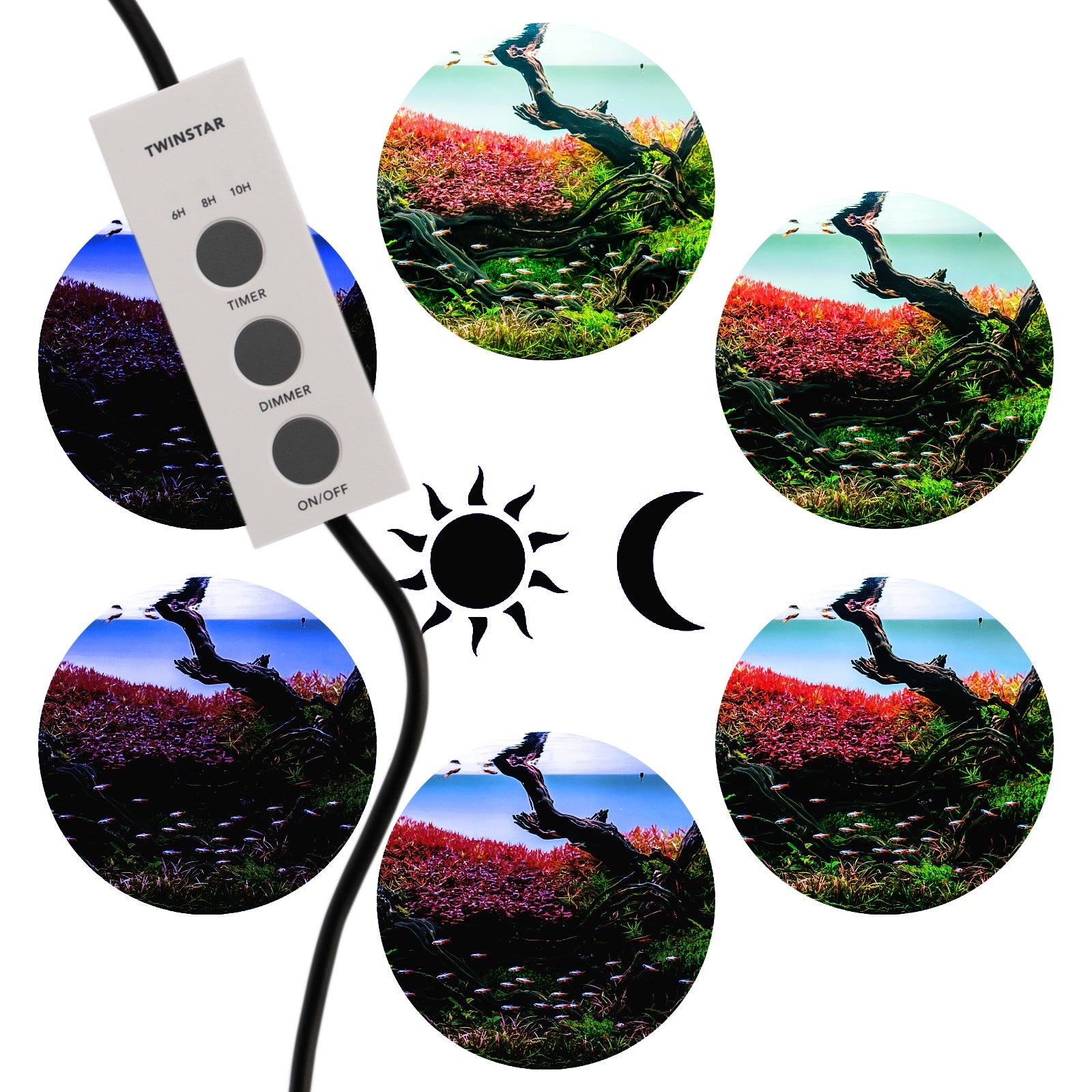 88ddd4043715294a3cbd26b972672856