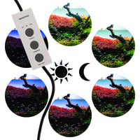 88ddd4043715294a3cbd26b972672856