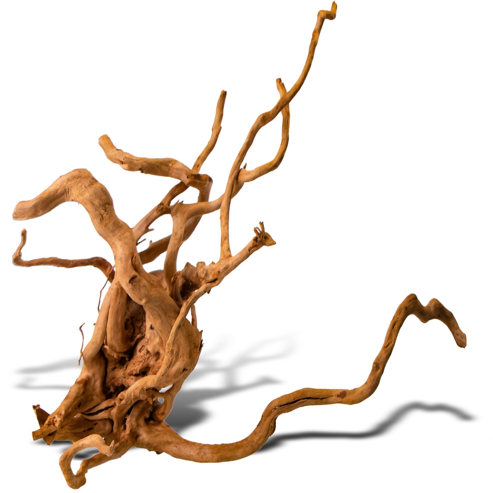 f3cad15cd7e7c13444456529245b46a7