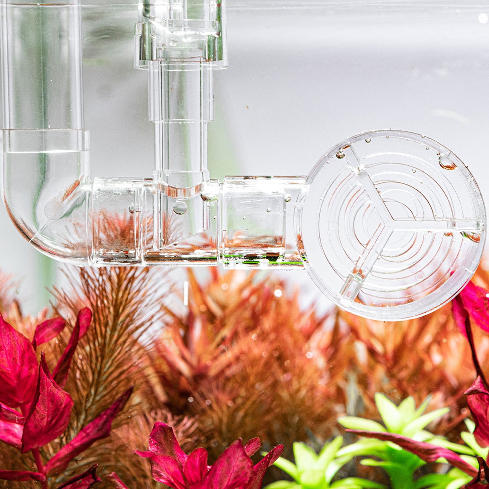 5bf7d8b87d9d95f983d65b212540b16d