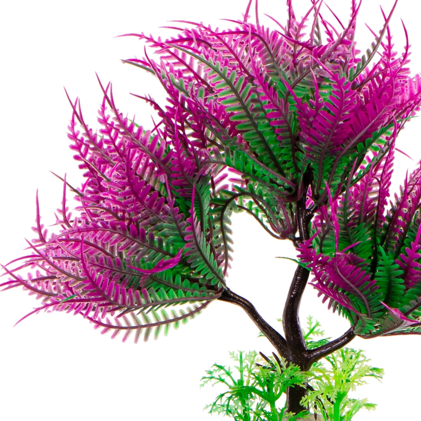 c8b92903c24c7601f95b6aa43729f64b