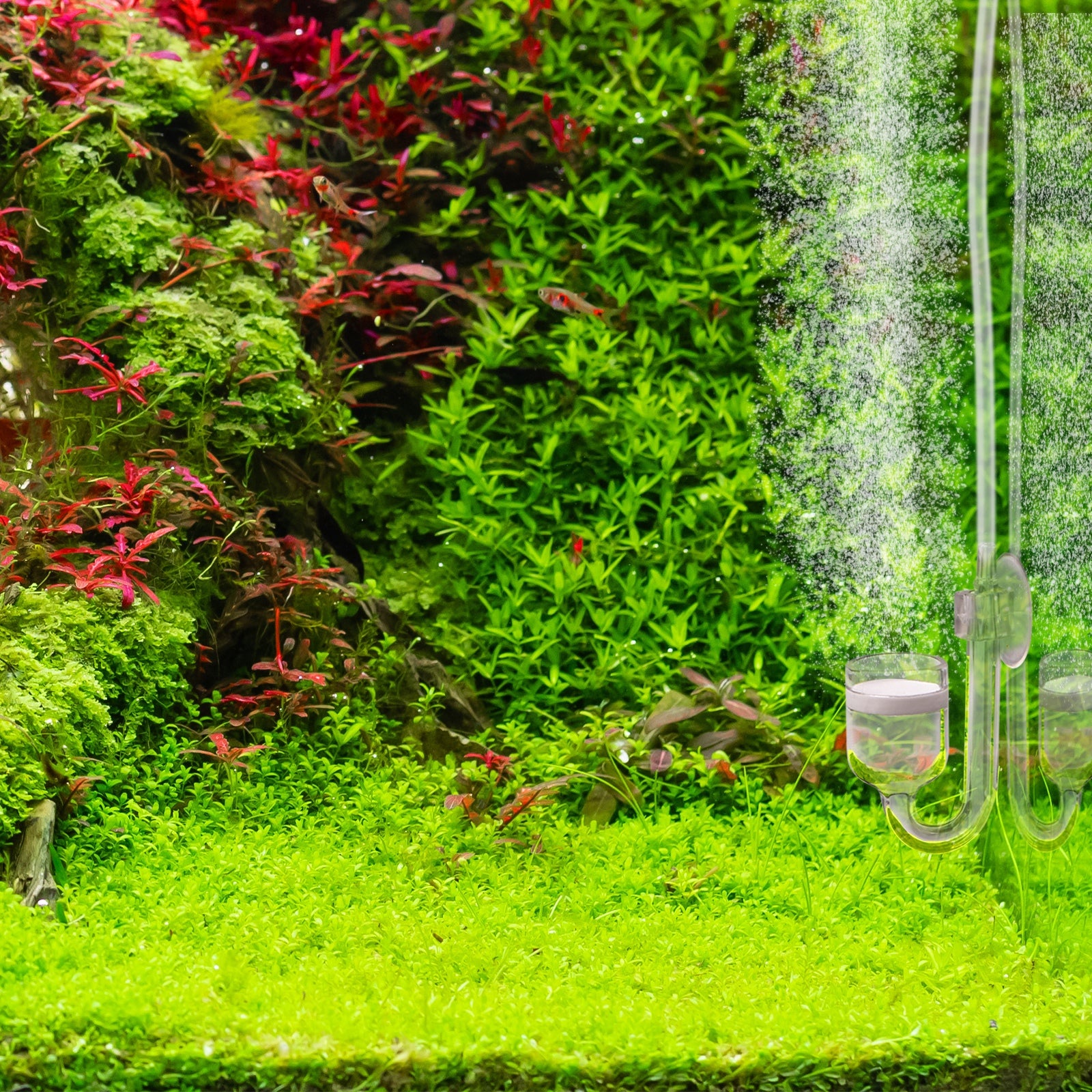 b5f0824121c034d41d60a683c9393a7f