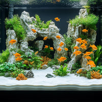 335e1ab71218be87972081c3b8d41c7b