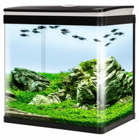 898528a8fb0e346611a7dfc99e4f7bcf