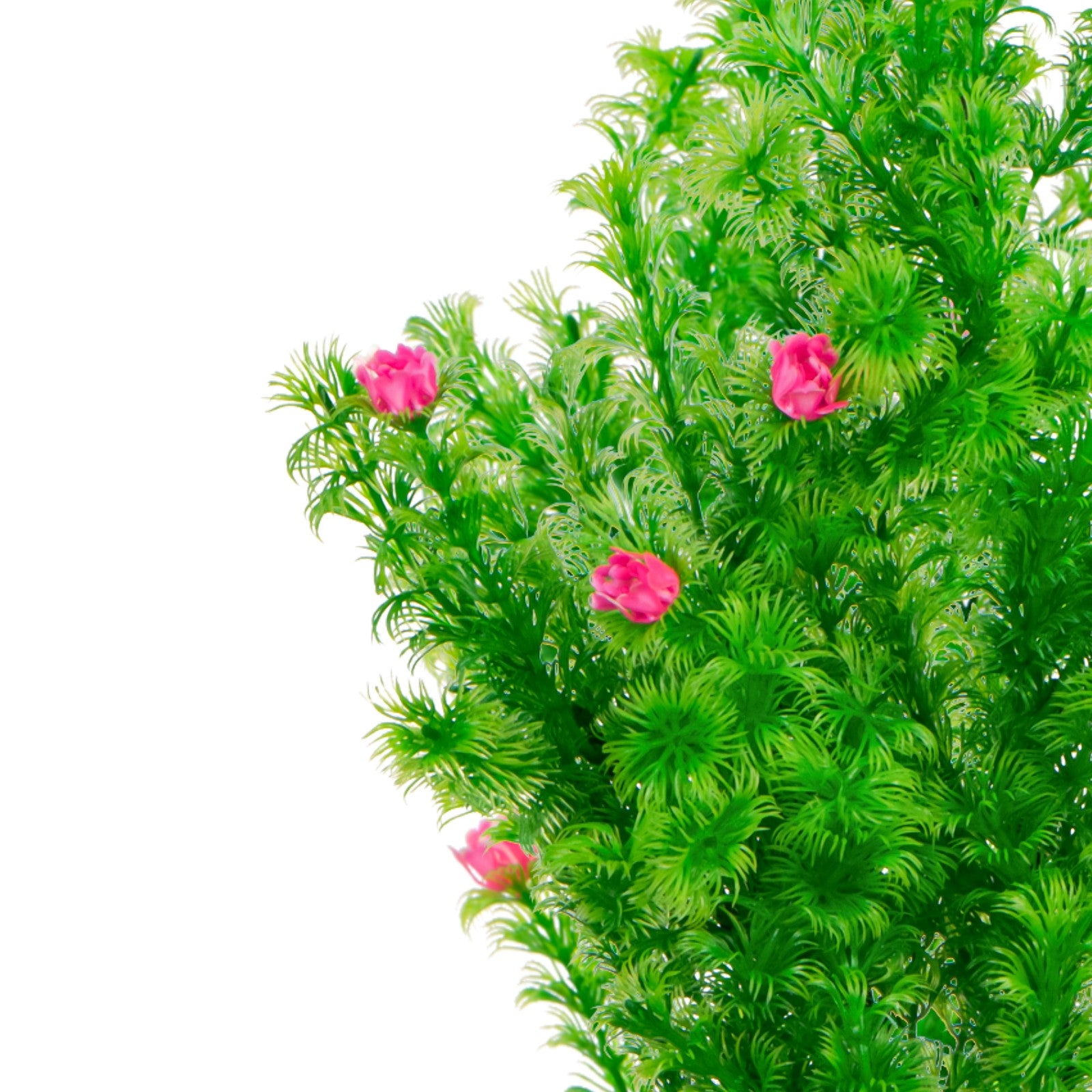 15708b4d20a077b95e90dee4a459a2f5