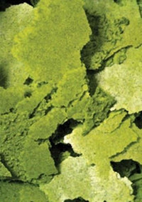 514826cc7a9199a1401c5da8480274ab