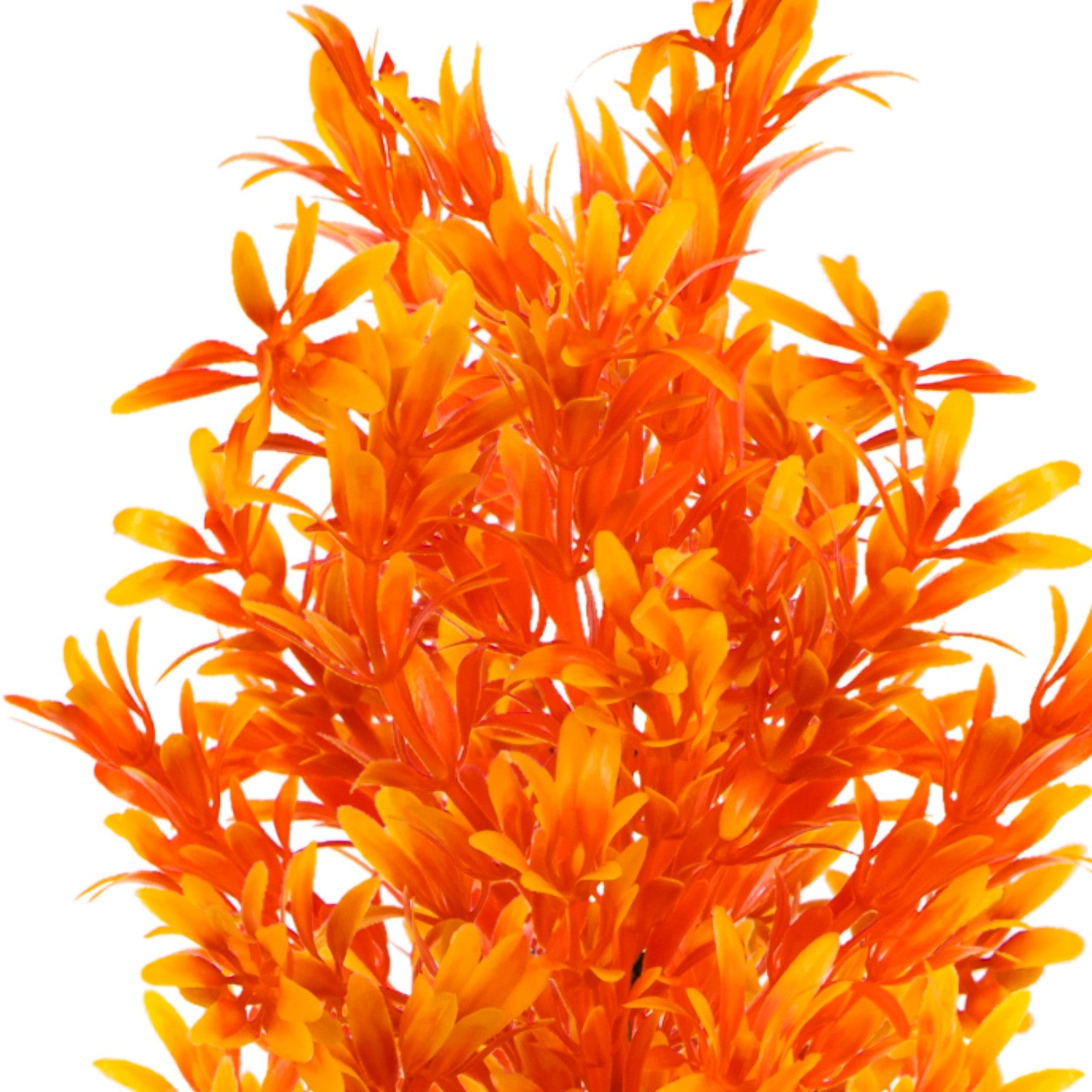 ce49f0ef2ed27ba22e9927e4a9d29221