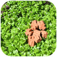 d46eef28c20dec66a227b09812fe9fdc