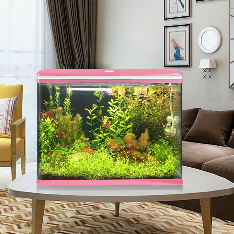 551450b0e5b8642bc8a13b8f5583a8de