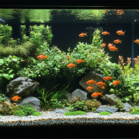 5b33186de307c87a114f33756dd99f74