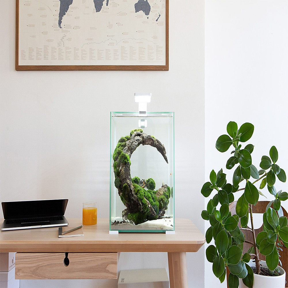 0ed379854e7949e70df6c97f96fe1660