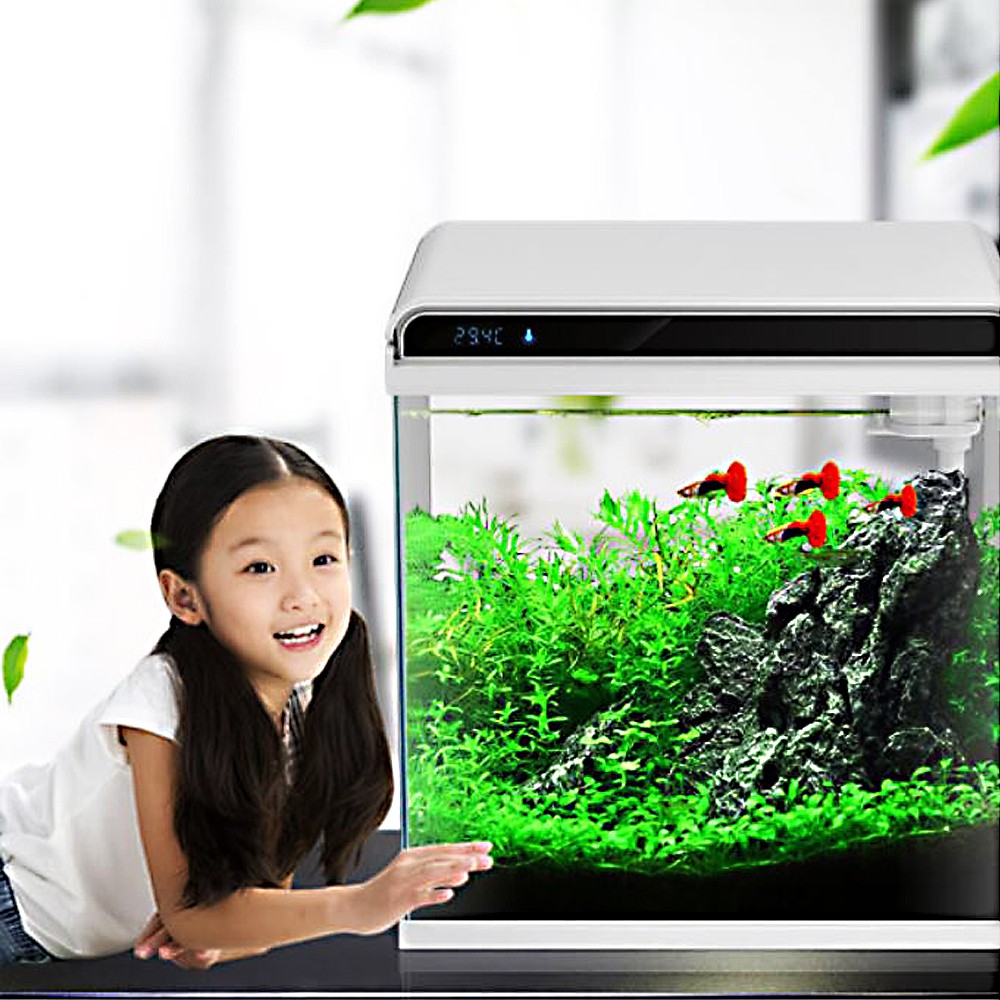 bb6e1bb5f03e56ef4c902ddb3a2de80c