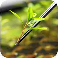 c5a49a159a822dd49d583ec33f49964e