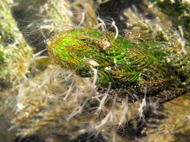 885d7b18944b8bf50d91afd712099d19