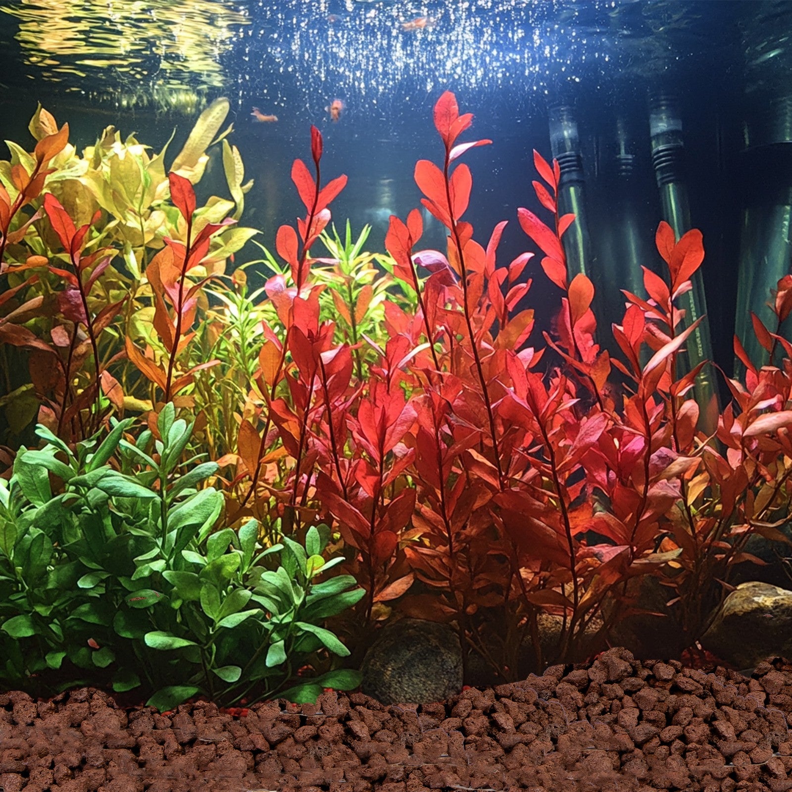 c18860b54624cdaf612a75c267d411a7