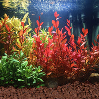 c18860b54624cdaf612a75c267d411a7