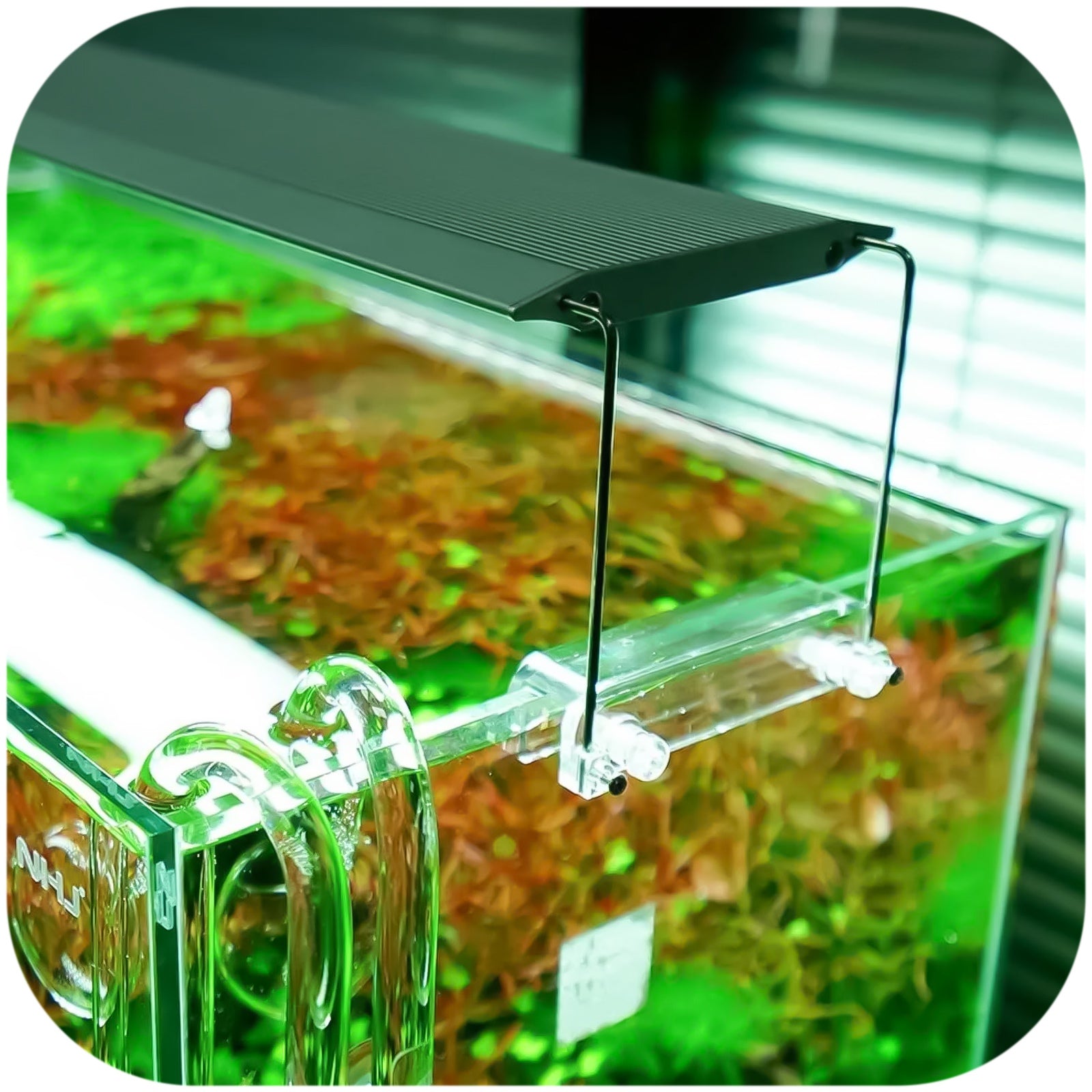 225c8e47afbdf2840b9be5c18cbf3ee1