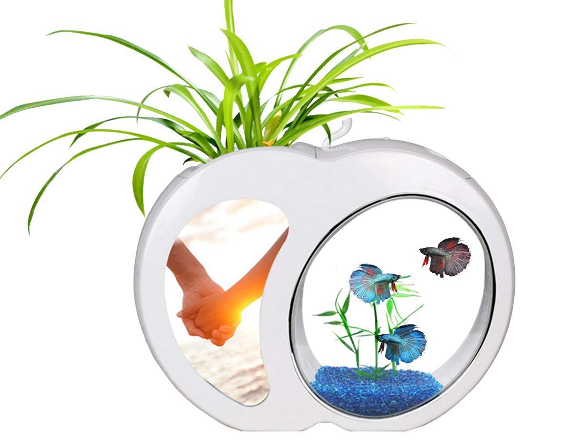 23778b1478e7dba50768a5159143c3fa