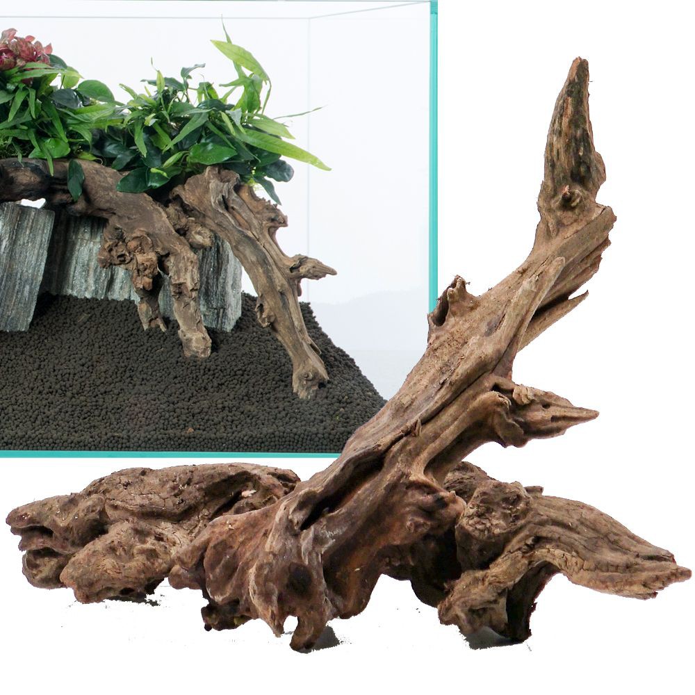 52d295e9fa35ef909668bf3af5cdf67a