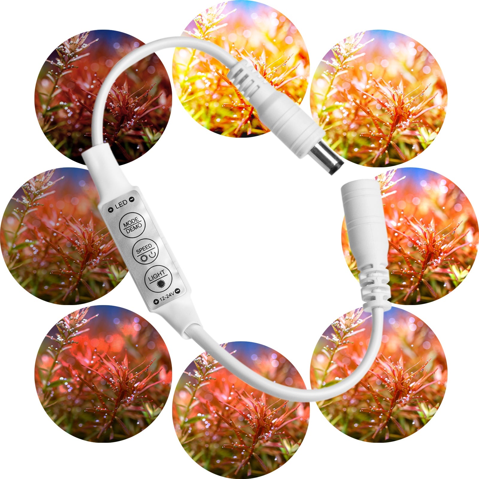 795408c0f0265f27b5e082ec83b543e0