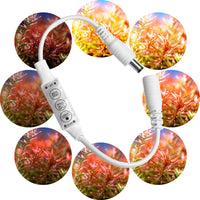 795408c0f0265f27b5e082ec83b543e0