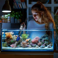 11aa07b17bcd1d12427701f19304a6c5