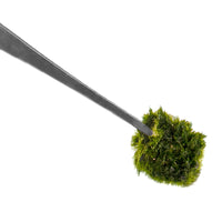 ac66d118eb62f0502fd01f1f8c015070