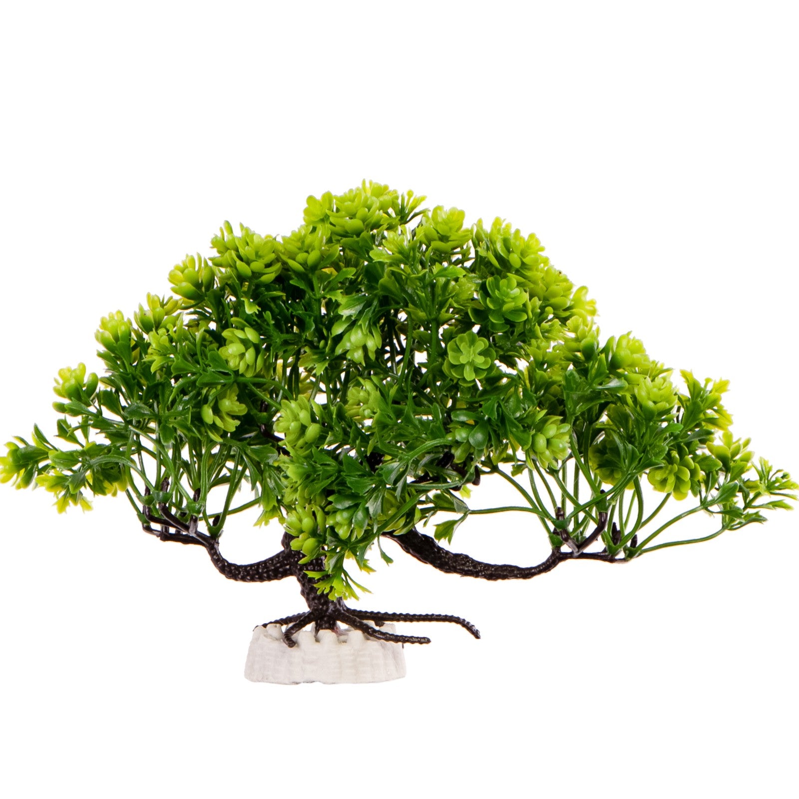 729ca340c83c6b0807ddf8247888f0e0