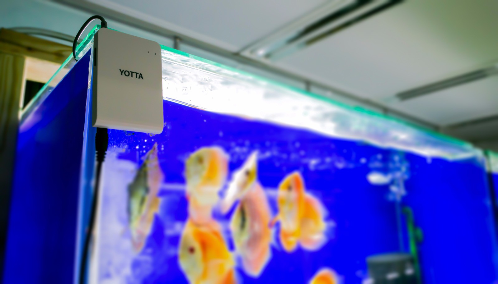 3b65ea03acdc8c43857353ee9a510674